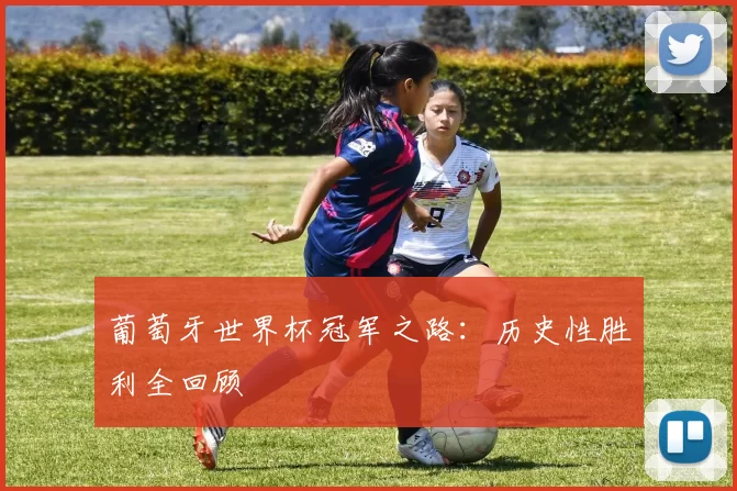 葡萄牙世界杯冠军之路:历史性胜利全回顾