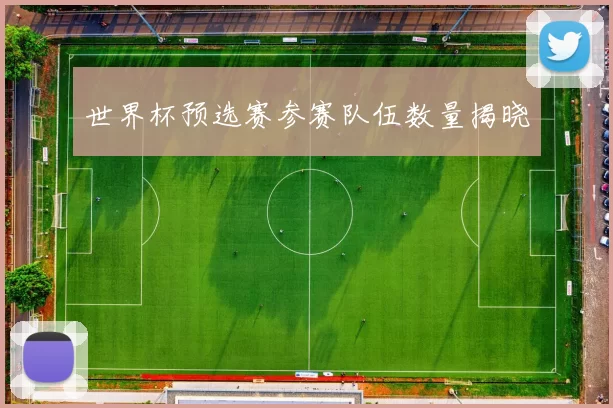 世界杯预选赛参赛队伍数量揭晓