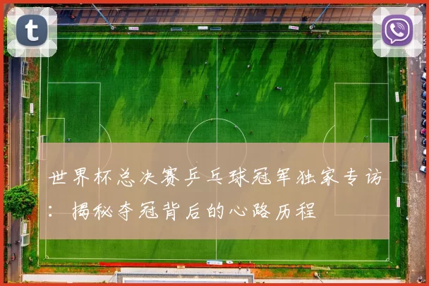 世界杯总决赛乒乓球冠军独家专访：揭秘夺冠背后的心路历程