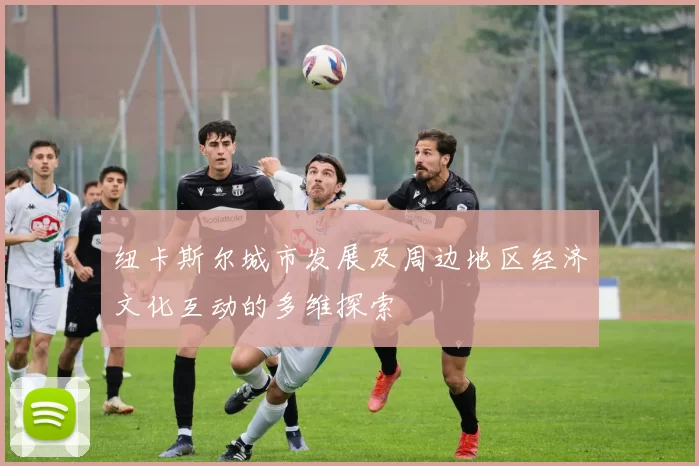 纽卡斯尔城市发展及周边地区经济文化互动的多维探索