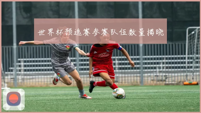 世界杯预选赛参赛队伍数量揭晓