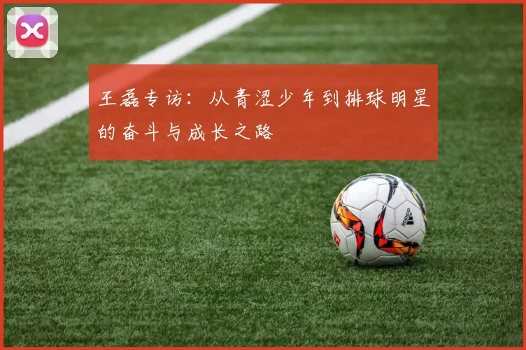 王磊专访：从青涩少年到排球明星的奋斗与成长之路