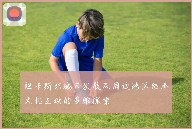 纽卡斯尔城市发展及周边地区经济文化互动的多维探索