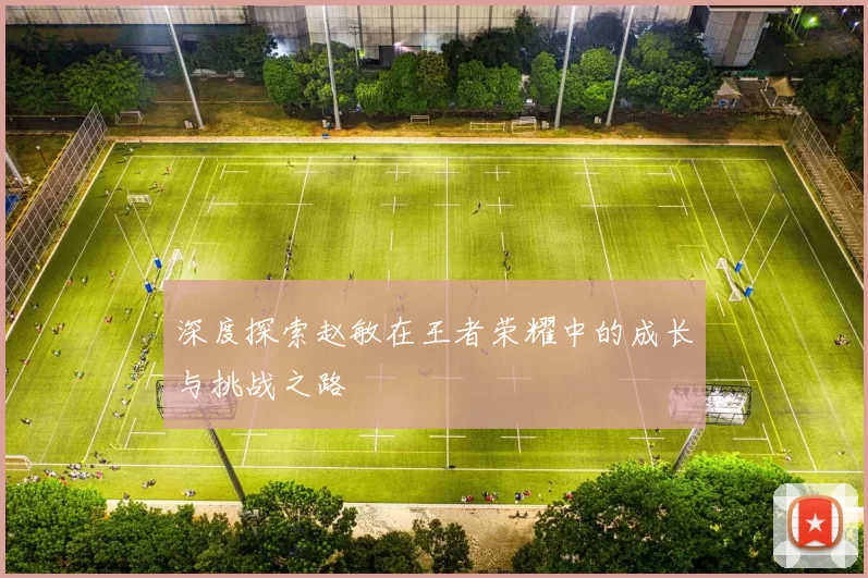 深度探索赵敏在王者荣耀中的成长与挑战之路