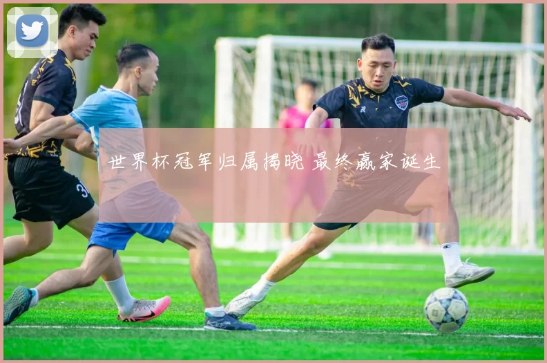 世界杯冠军归属揭晓 最终赢家诞生