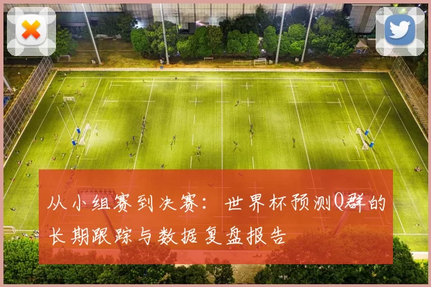从小组赛到决赛:世界杯预测Q群的长期跟踪与数据复盘报告